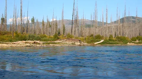 Flathead River in Montana Video stock 36045770