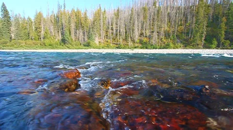 Flathead River of Montana Stock-Footage 36273903