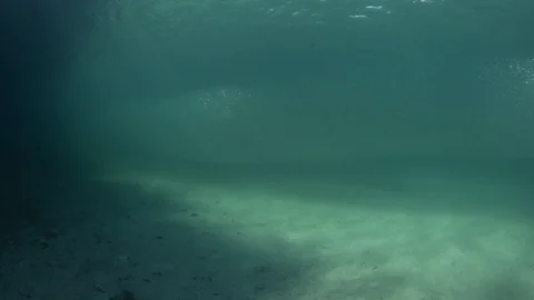 Flatiron Herring baitball. Stock Footage 101417943