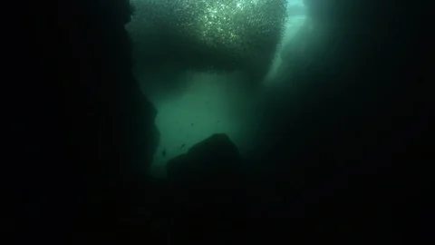 Flatiron Herring baitball. Stock Footage 101418080