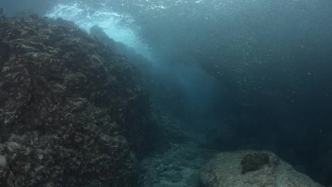 Flatiron Herring baitball. Stock Footage 101419333