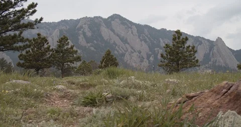 Flatiron Mountains with grass and pine trees in foreground in Boulder Colorado Stock Footage 109138926