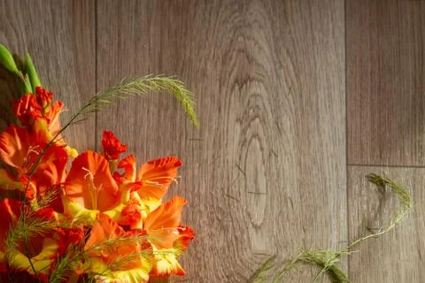 Flatlay background for school. red orange gladioli fire color on a wooden bac Stock Photos