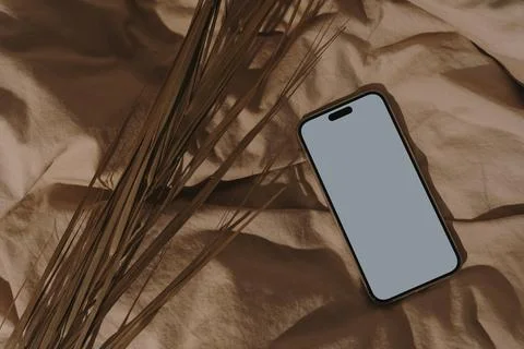 Flatlay of blank screen mobile phone with aesthetic soft sunlight shadows on  Stock Photos