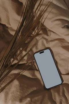 Flatlay of blank screen mobile phone with aesthetic soft sunlight shadows on  Stock Photos