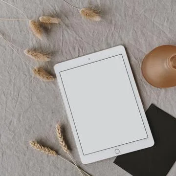 Flatlay of blank screen tablet pad, fluffy pom pom plants, rye / wheat ear st Stock Photos