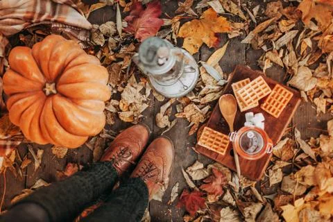 Flatlay composition with big pumpkin, retro boots, lantern, waffles, sugar on Stock Photos