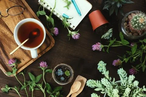 Flatlay of flowers, succulents and tea with notebook on wooden table, propaga Stock Photos