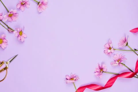 Flatlay frame arrangement with violet daises, scissors and ribbon, violet bac Foto stock