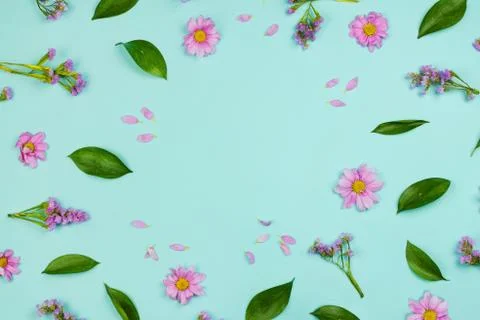 Flatlay frame floral background with daisies, wildflowers, petals and leaves, Stock Photos