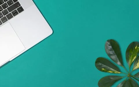 Flatlay notebook and green leaf on green blue background Stock Photos