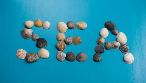 Flatlay shells forming the word sea on a blue background Stock Photos