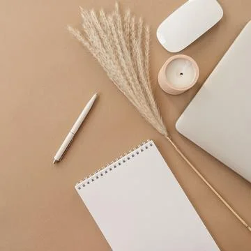 Flatlay of spiral flip notebook with blank paper sheet. Laptop, pampas grass, Photos