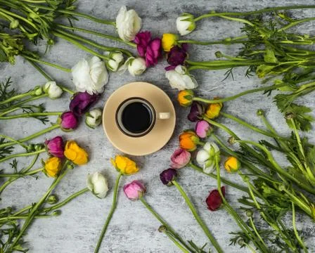 Flatlay of spring flowers and cup of black coffee on grey marble background with Foto stock