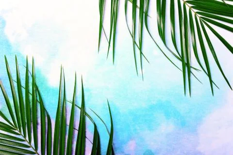 Flatlay summer background Stock Photos