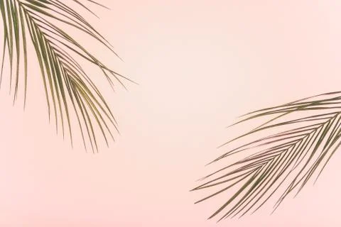 Flatlay summer background Stock Photos