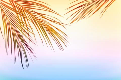 Flatlay summer background Stock Photos