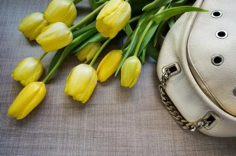Flatlay tulip and backpack Stock Photos