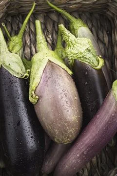 Flatlay of various eggplants in a basket. Stock Photos