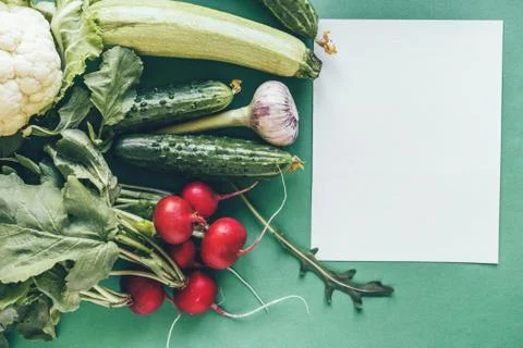 Flatlay of various vegetables on a green background Stock Photos