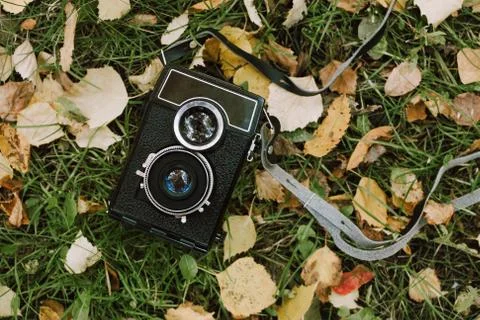 Flatlay of vintage two-lens camera on green grass and yellow leaves in forest Stock Photos