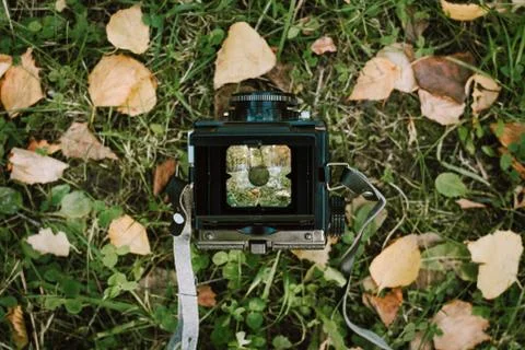 Flatlay of vintage two-lens camera with reflection of trees and forest on gre Stock Photos
