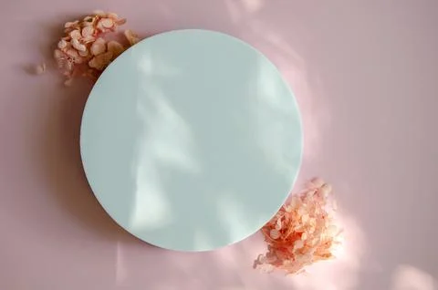 Flatlay white circle Mockup on a pink background Stock Photos