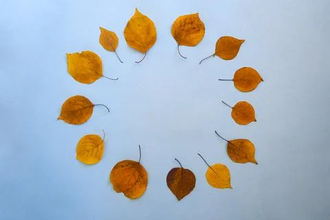 Flatley circular text frame autumn dry leaves blue background. Top view Stock Photos