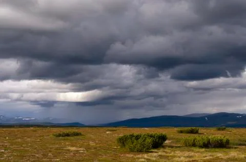 Flatruet mountain plateau Stock Photos