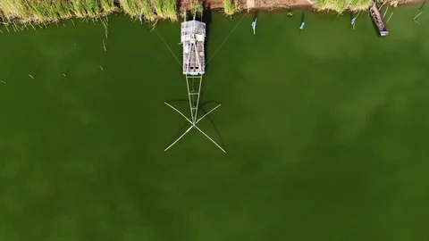 Flattering for fish on the green lake Stock-Footage 100544396