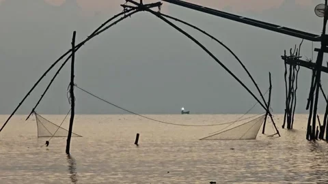 Flattering fish when the sunrise. Stock Footage 306942701