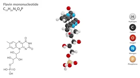Flavin Mononucleotide. E101a food additive. White background. 3D render Stock Footage 292112234