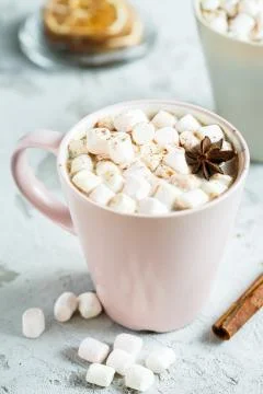 Flavored cocoa with marshmallows with cinnamon Stock Photos