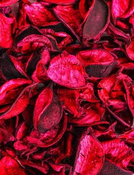 Flavored petals of a cotton flower colored decor element Photos