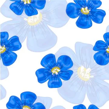 Flax blue flowers. Seamless pattern. Vector illustration. Stock Illustration