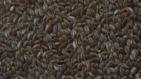Flax grain close-up Stock Footage 150126324