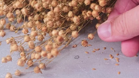 Flax grains fall from a man's palm. Stock Footage 249202947