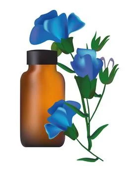 Flax oil Stock Illustration