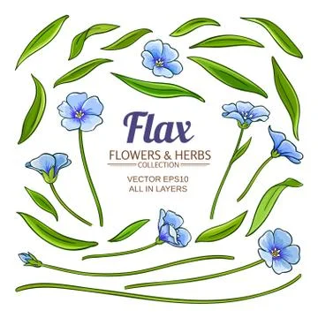 Flax plant elements vector set Stock Illustration