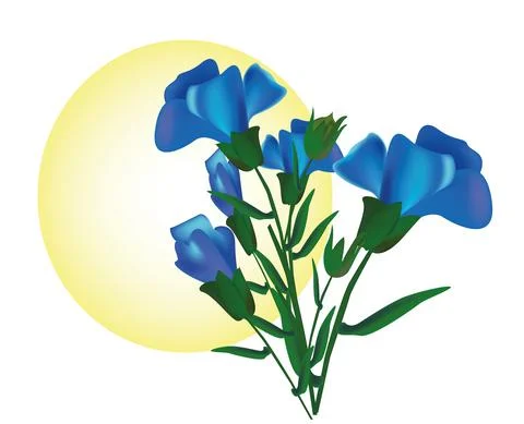 Flax plant Stock Illustration
