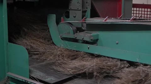 Flax processing machine. Flax fiber processing line Stock Footage 306397188