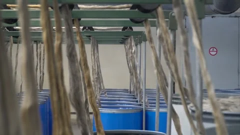 flax production. Production process. Mat... | Stock Video | Pond5