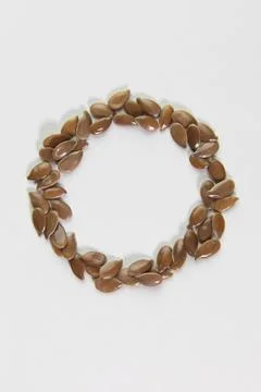 Flax seed circle 스톡 사진