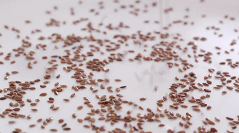 Flax seed - close up Stock Footage 35758921