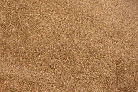 Flax seeds background or texture. flaxseed or linseed. Cereals. Healthy food Foto stock