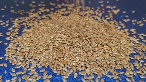 Flax Seeds Fall To The Surface Stock Footage 295031385