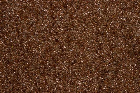 Flax seeds in full screen. Selected flax seeds.  Stock Photos