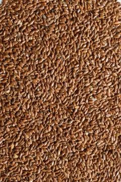 Flax seeds Foto stock