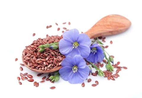 Flax seeds Stock Photos