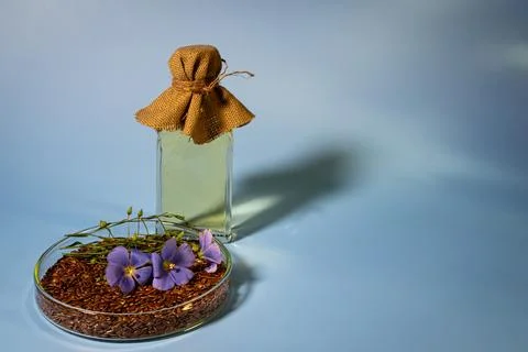 Flax seeds Stock Photos
